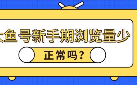 大鱼号新手期浏览量少正常吗？新手期给收益吗？