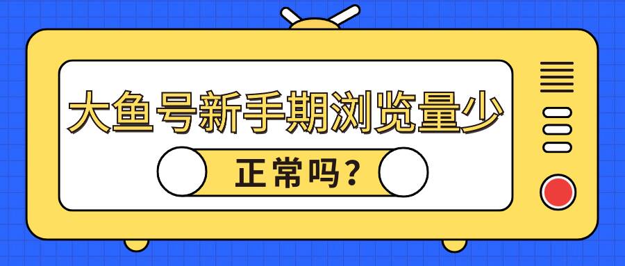 大鱼号新手期浏览量少正常吗？新手期给收益吗？