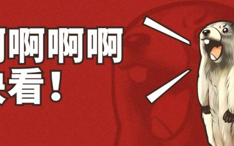 视频号被注销了如何重新申请新号？注销视频号后多久才可申请？