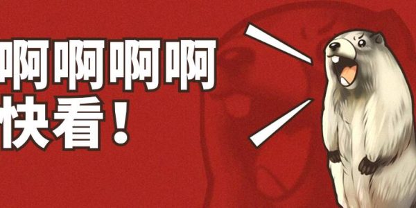 视频号被注销了如何重新申请新号？注销视频号后多久才可申请？
